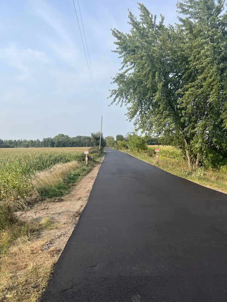 Newly paved asphalt lane running straight between a cornfield and roadside trees under a pale sky
